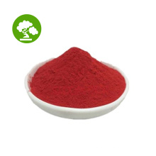 Additifs alimentaires de haute qualité poudre 10% de carophylle rouge